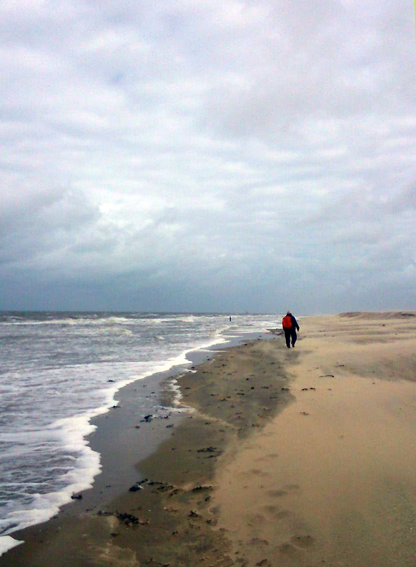 Broer de Witte